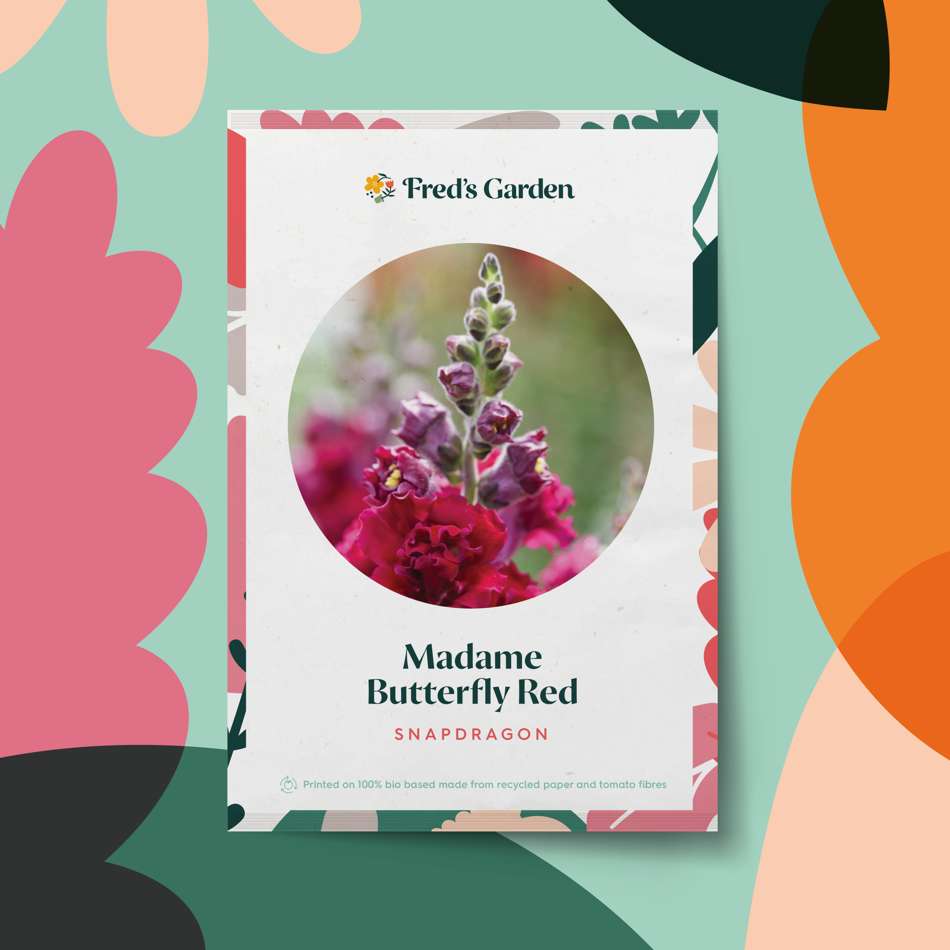 Lejongap 'Madame Butterfly Red' (frö)